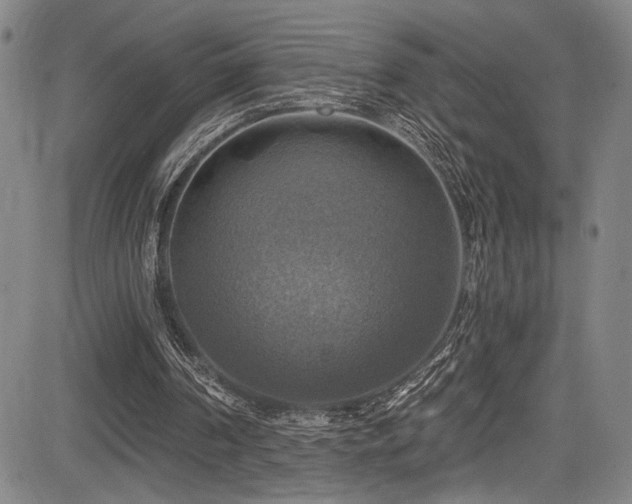 X0000083630194200702121214