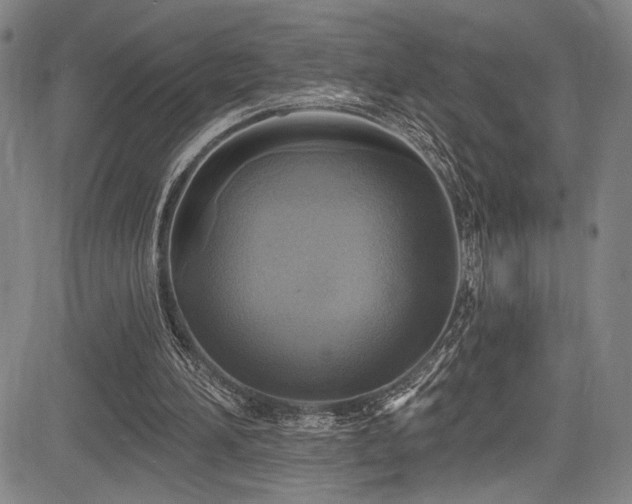 X0000083630196200702121214