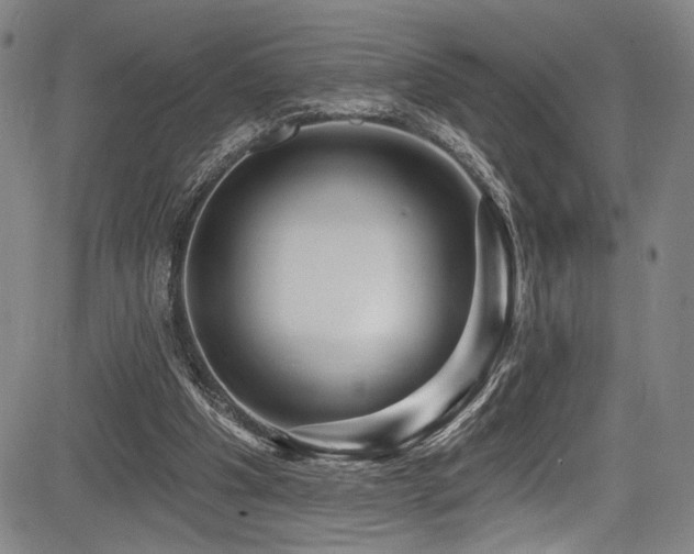X0000083630201200702121214