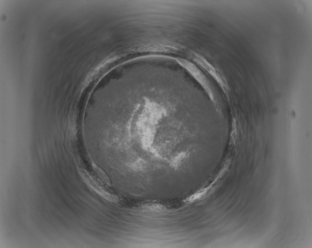 X0000083630203200702121214