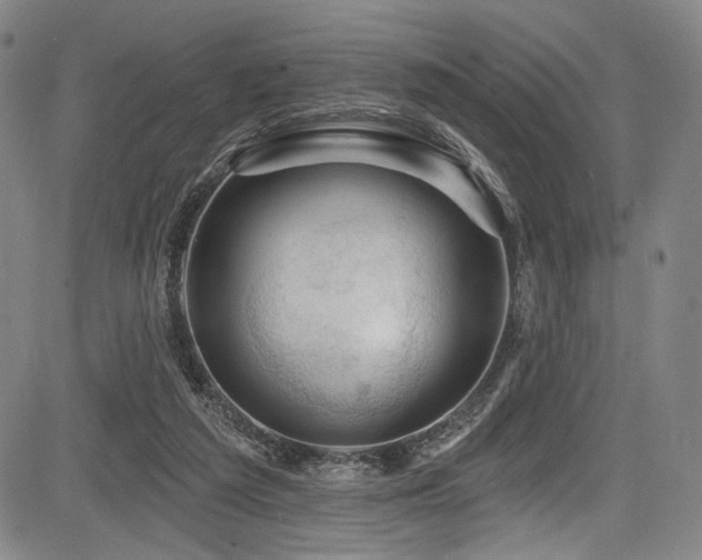 X0000083630209200702121214