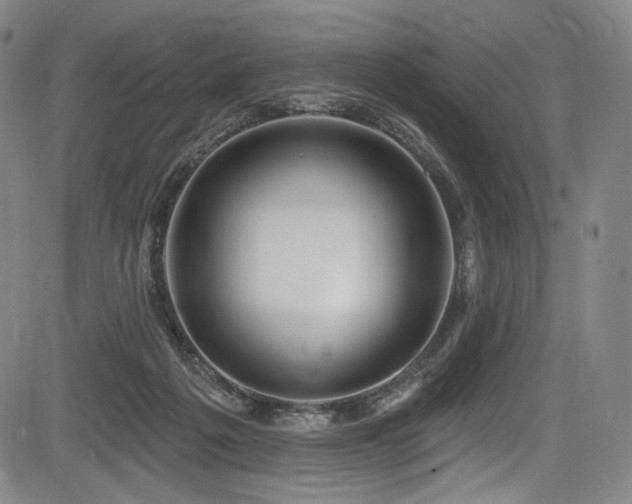 X0000083630217200702121214