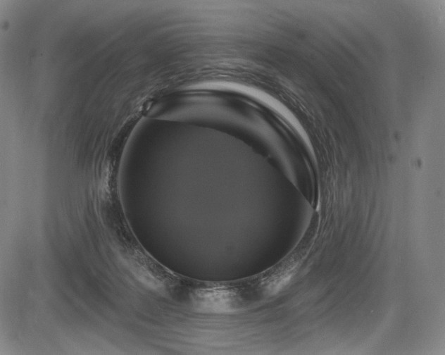 X0000083630219200702121214