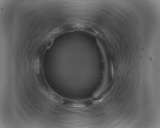X0000083630223200702121214