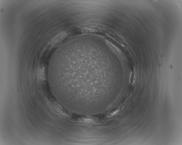 X0000083630224200702121214