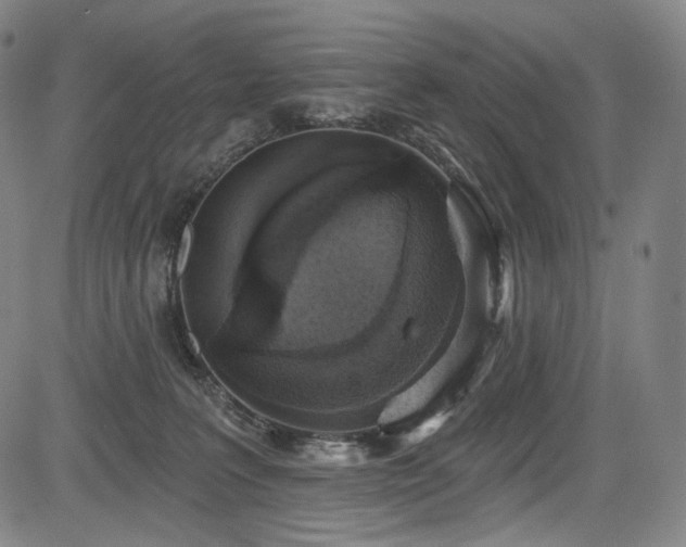 X0000083630227200702121213