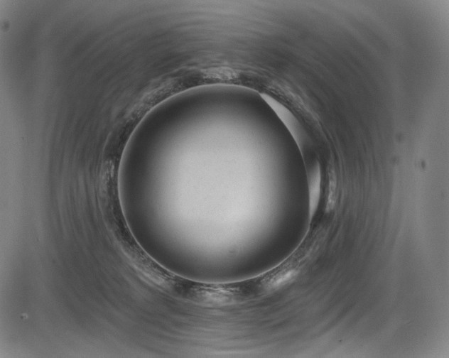X0000083630229200702121213