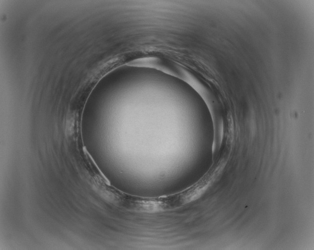 X0000083630233200702121213