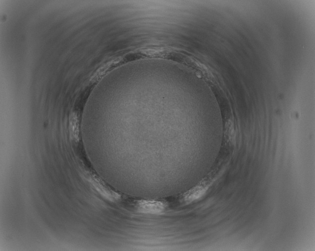 X0000083630234200702121213