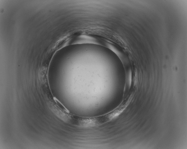 X0000083630237200702121213