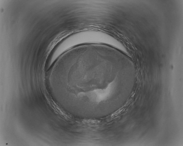 X0000083630242200702121212