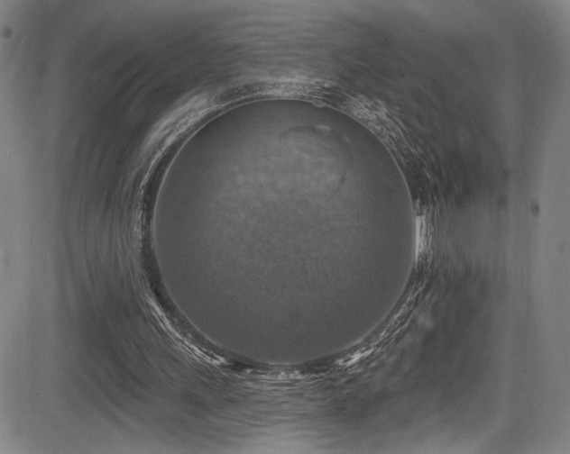 X0000083630243200702121213