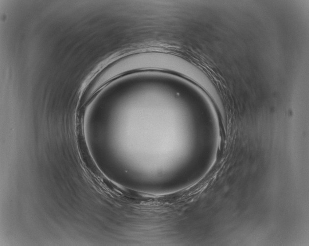 X0000083630244200702121213