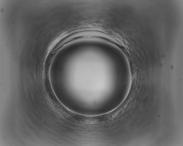X0000083630248200702121213