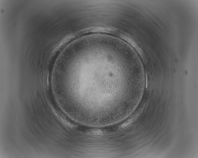 X0000083630253200702121213