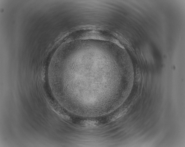 X0000083630255200702121213