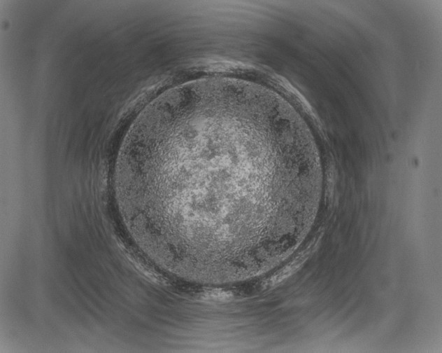 X0000083630257200702121213