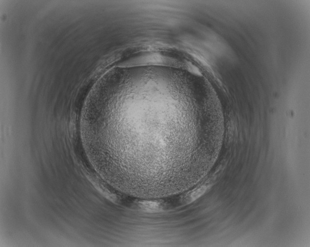 X0000083630265200702121213