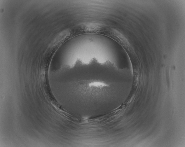 X0000083630269200702121213