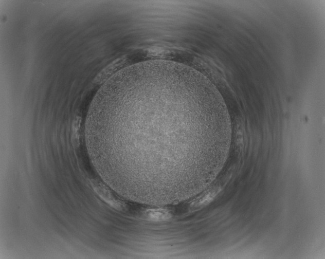 X0000083630275200702121213