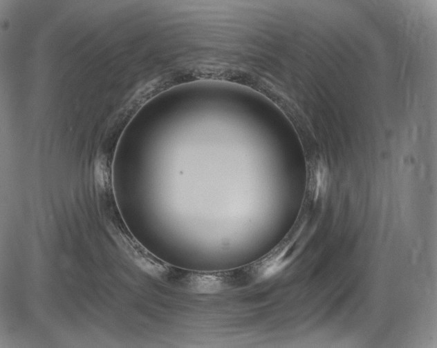 X0000083630287200702121213