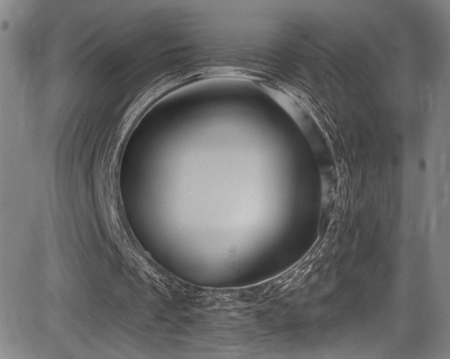 X0000083630289200702121212