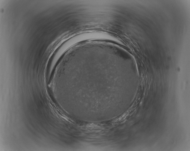 X0000083630290200702121212
