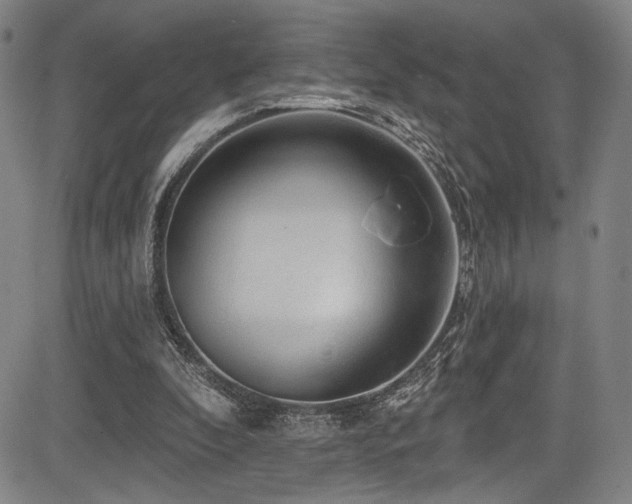 X0000083630296200702121212