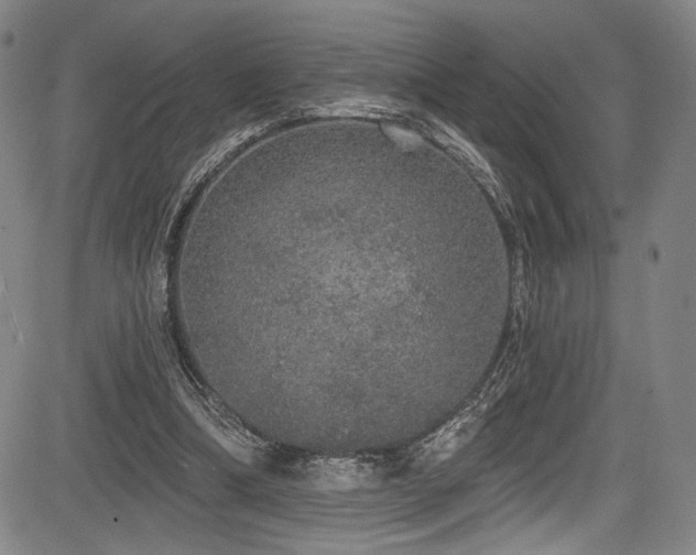 X0000083630298200702121212