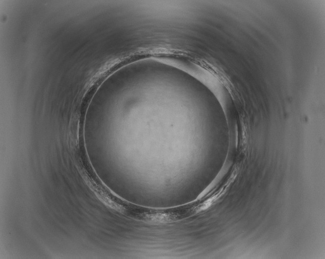 X0000083630301200702121212