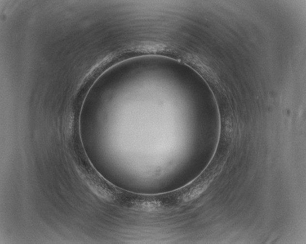 X0000083630304200702121212