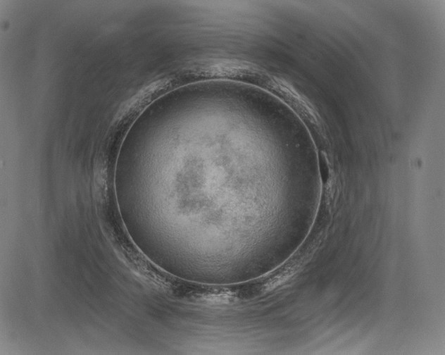 X0000083630306200702121212