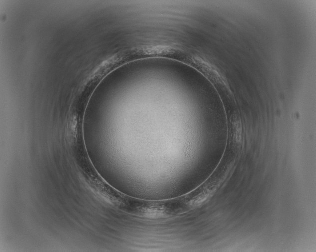 X0000083630308200702121212