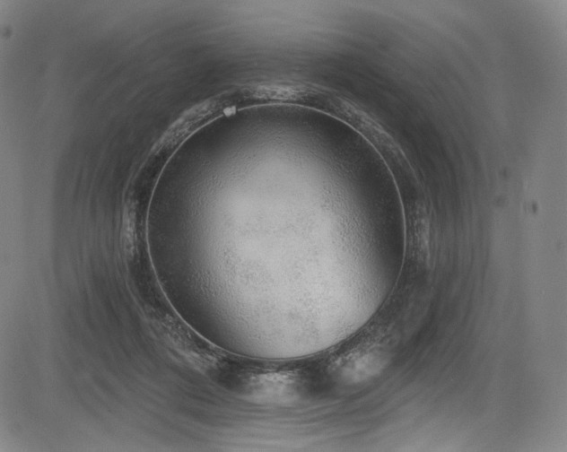 X0000083630312200702121212
