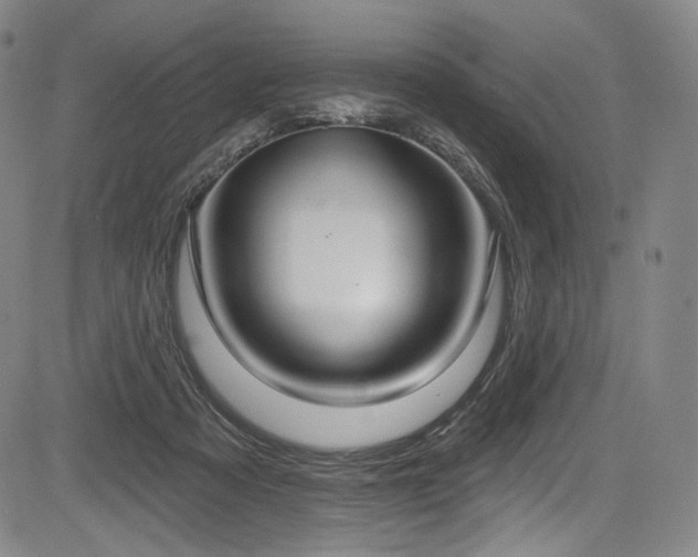 X0000083630313200702121212