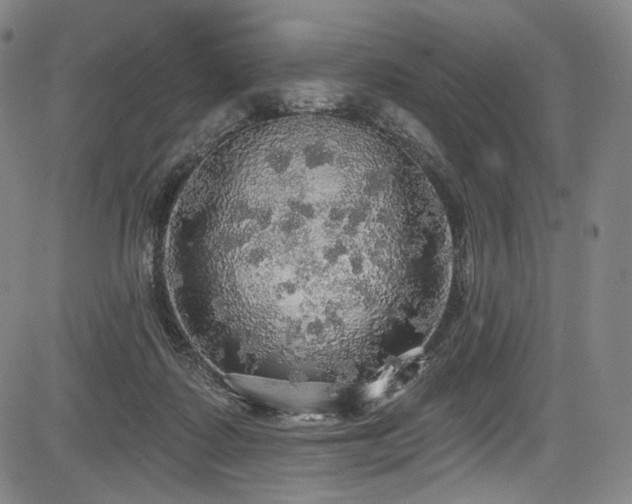 X0000083630315200702121212