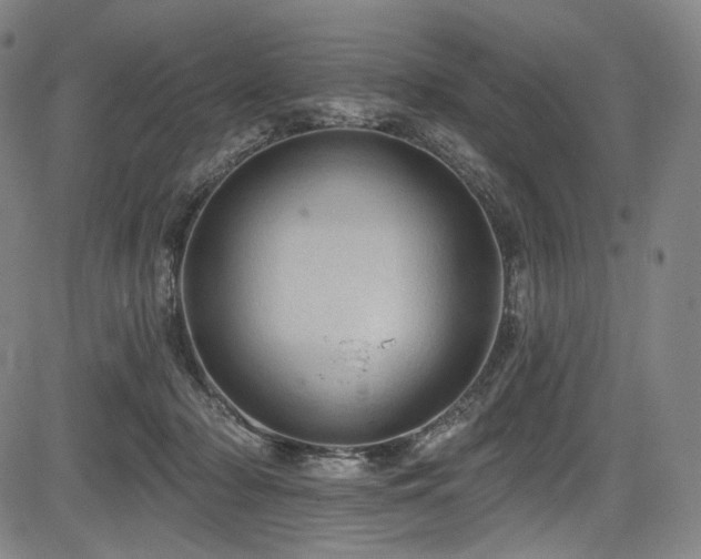 X0000083630318200702121212