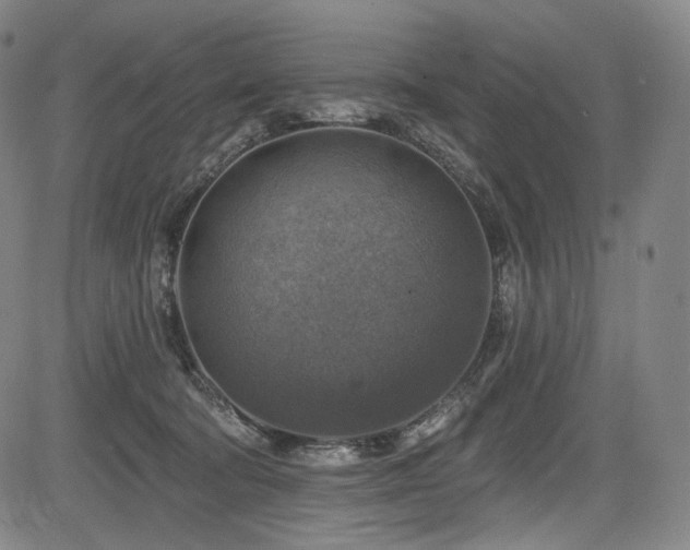 X0000083630322200702121212