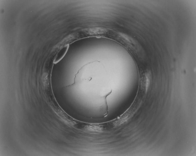 X0000083630327200702121212