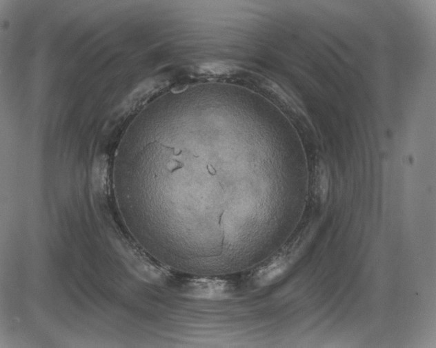 X0000083630328200702121212