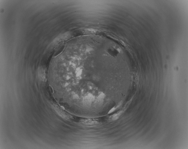 X0000083630331200702121212