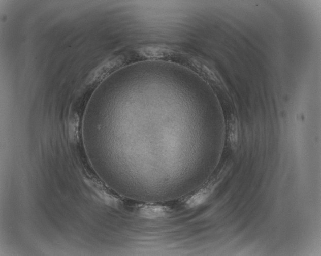 X0000083630332200702121212
