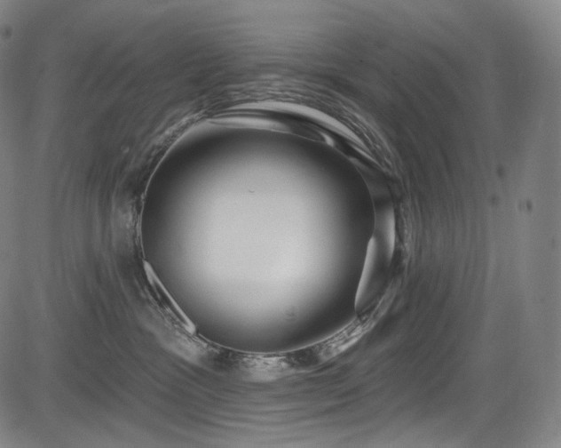 X0000083630333200702121212