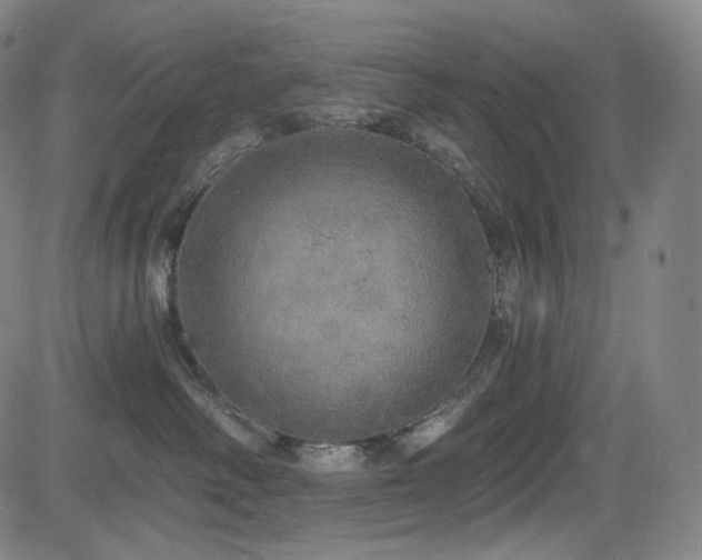 X0000083630334200702121212