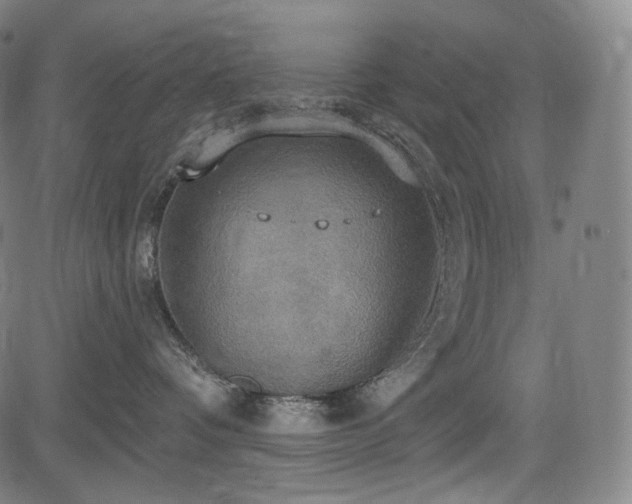 X0000083630336200702121212