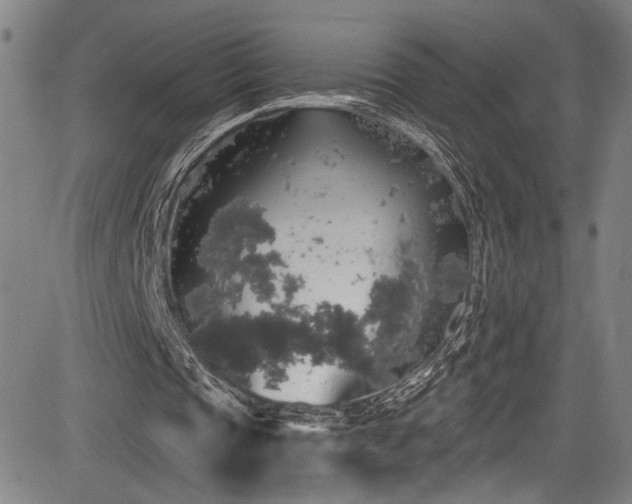 X0000083630337200702121211