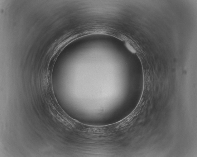 X0000083630338200702121211