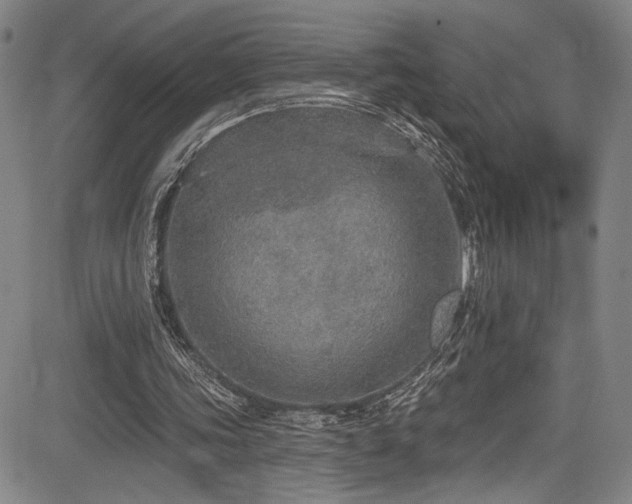 X0000083630339200702121211