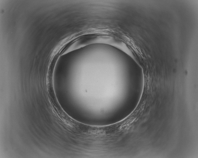 X0000083630340200702121211