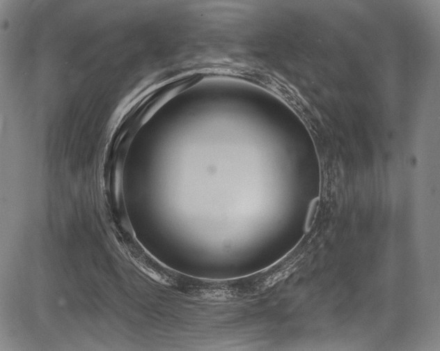 X0000083630344200702121211